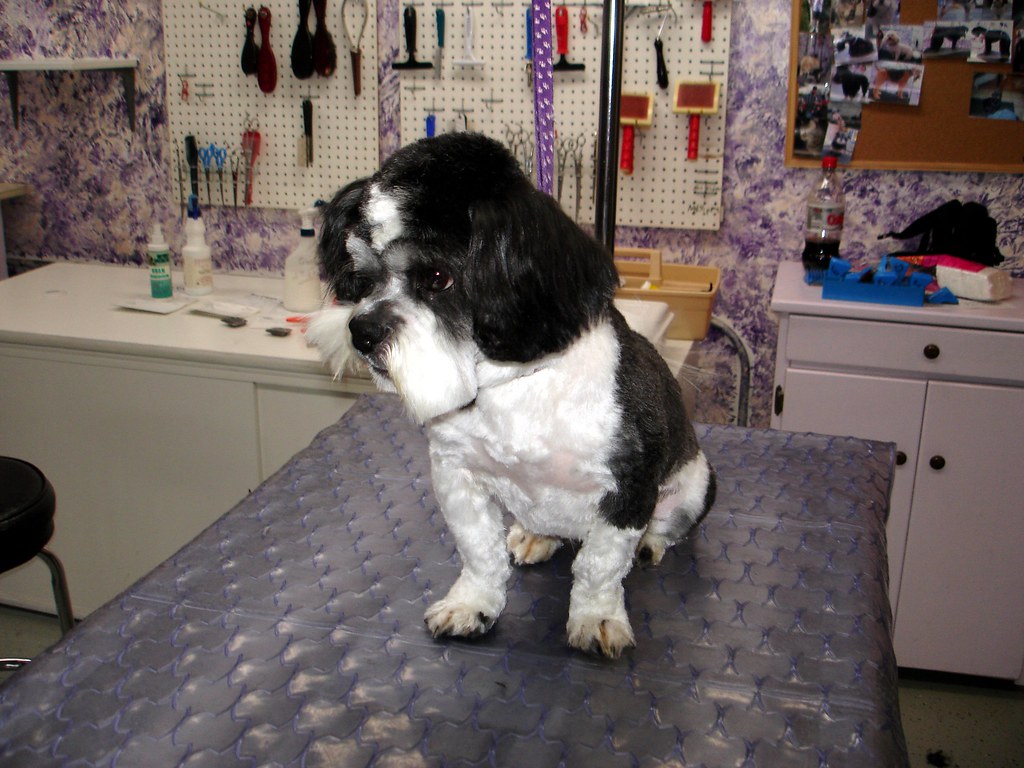 A Five-Step Framework for Grooming Any Breed