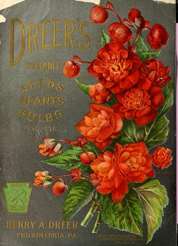 Are Paid Home Gardening Clubs Actually Worth the Membership?