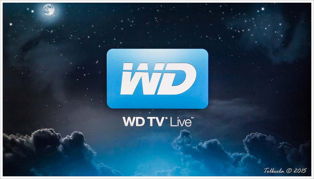 Build an At-Home Streaming Setup Without Overspending