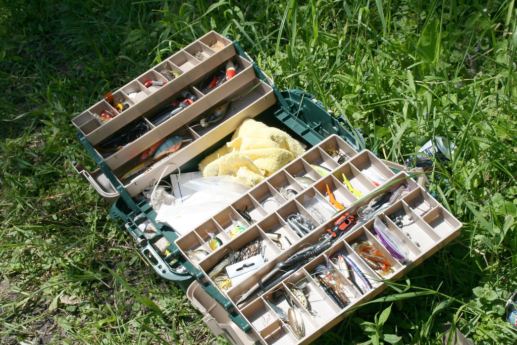 Bowfishing for Beginners: Gear, Rules, and Hitting the Shot