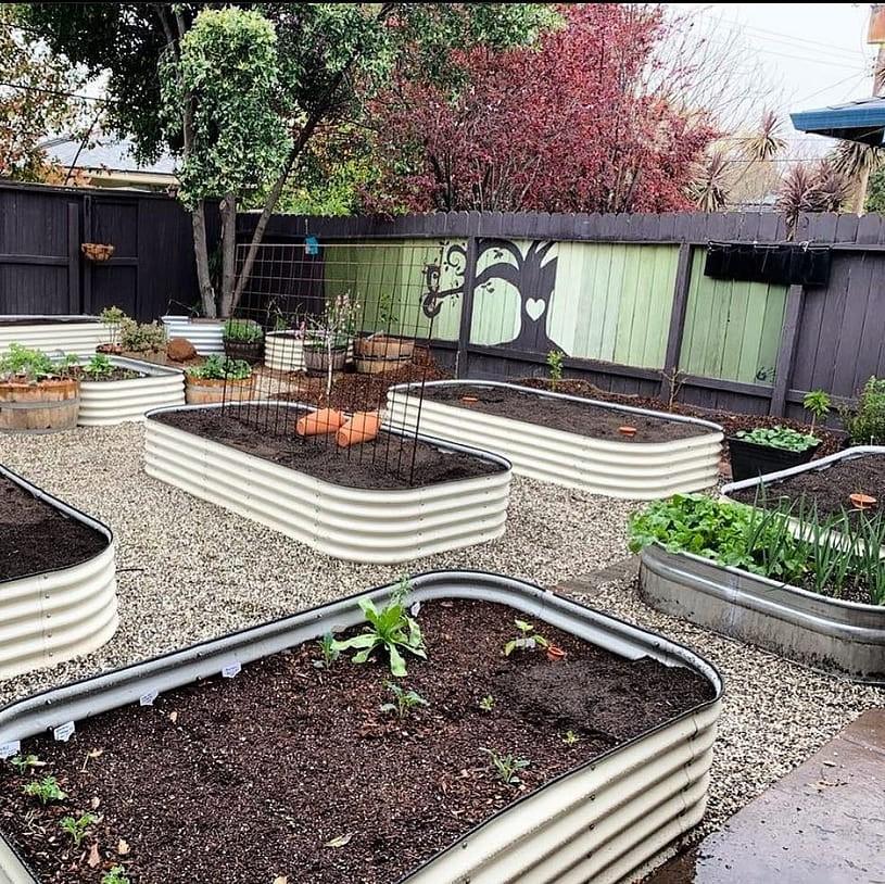 Building a Butterfly Habitat: Shelter, Water and the Full Lifecycle