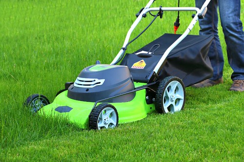 Choosing a Lawn Mower: Push vs Self-Propelled vs Robot