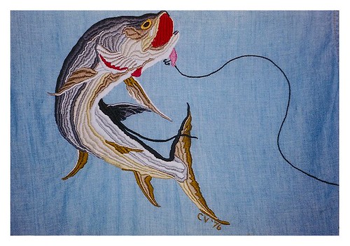 Choosing Fishing Tackle: A Beginner's Guide to Matching Gear