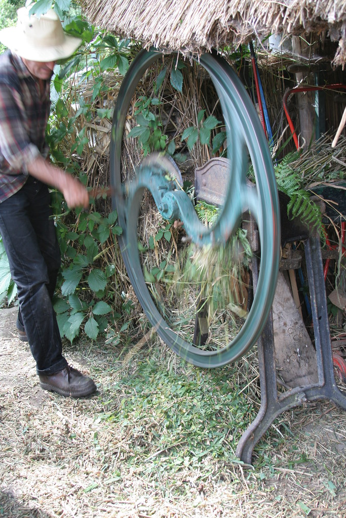 Choosing Power Garden Tools That Won't Wreck Your Back