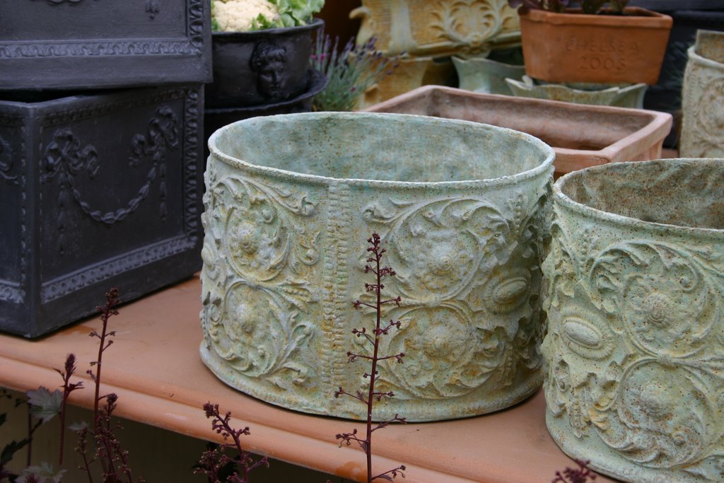 Container Gardening: How I Turned a Bare Balcony Into a Garden