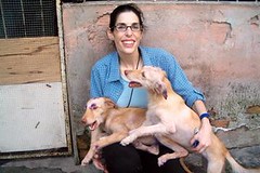 Dog Vaccination Questions New Owners Always Ask
