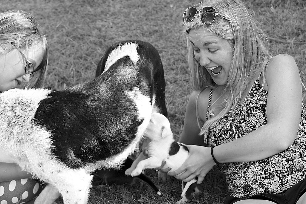 Feeding Your Dog by Age: Puppy, Adult, Senior, and Pregnant