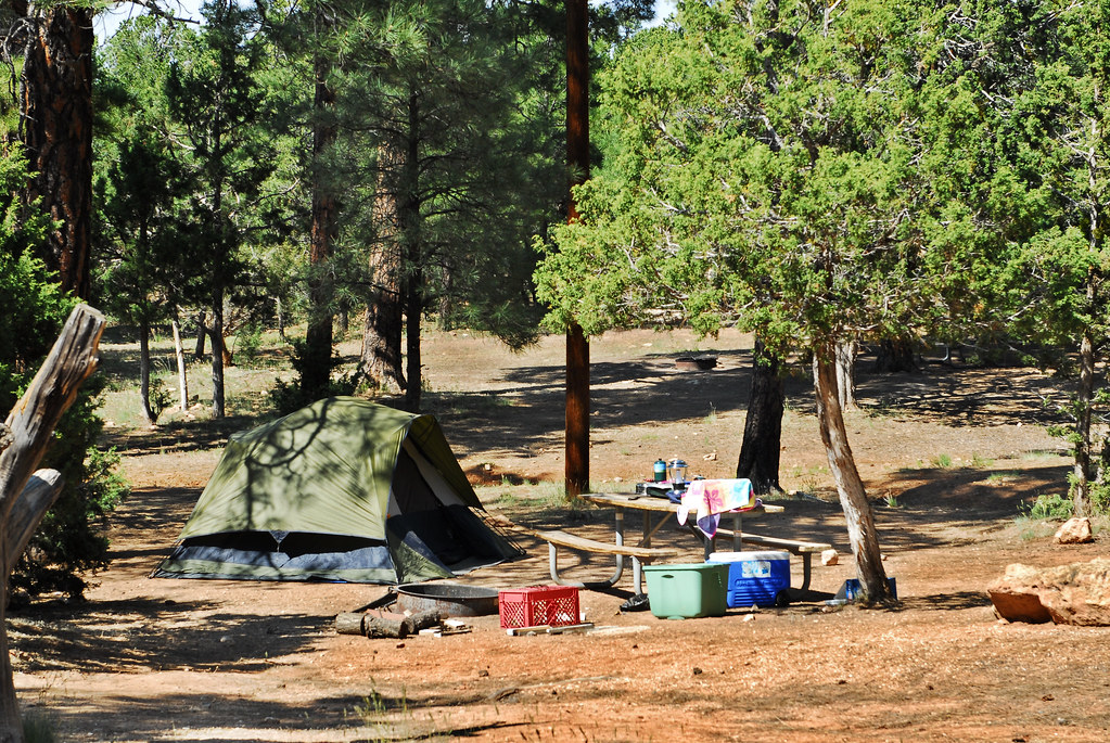 A First Car-Camping Kit That Won't Waste Your Money
