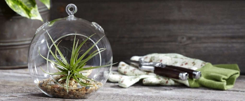 Gardening Gifts That Don't Miss, From Five Bucks to Splurge