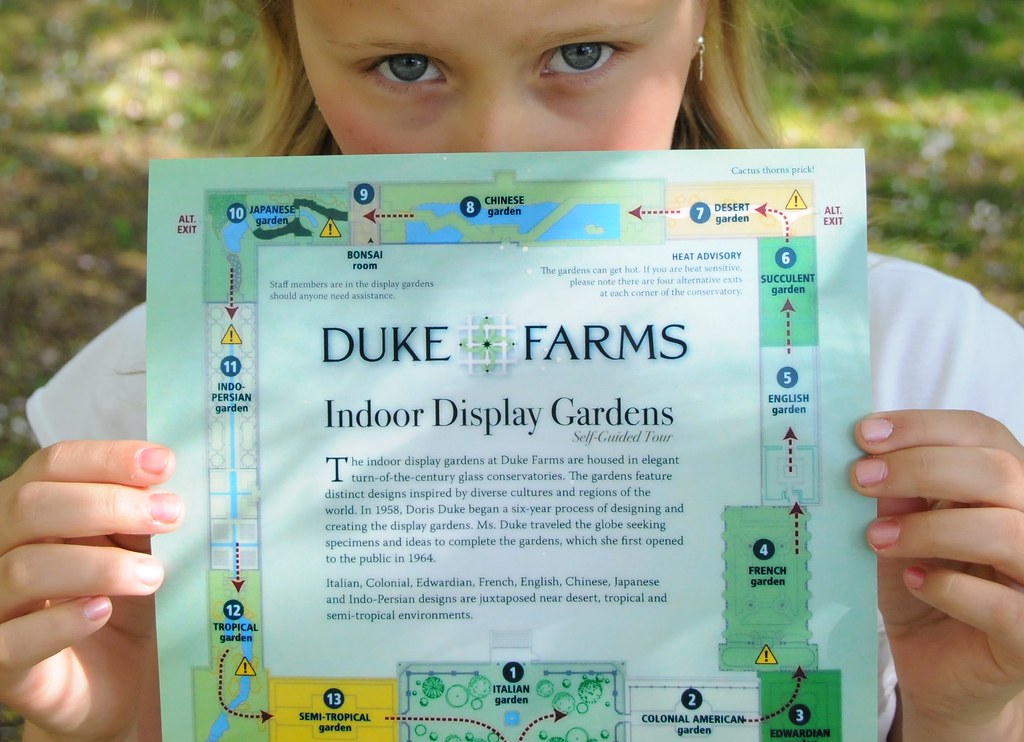 Getting Kids Into the Garden and What It Actually Teaches Them
