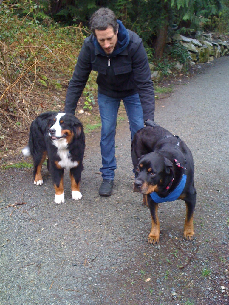 Heartworm: The Questions I Finally Asked My Vet