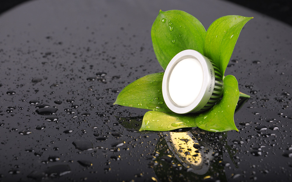 How to Make Your Home More Environmentally Friendly