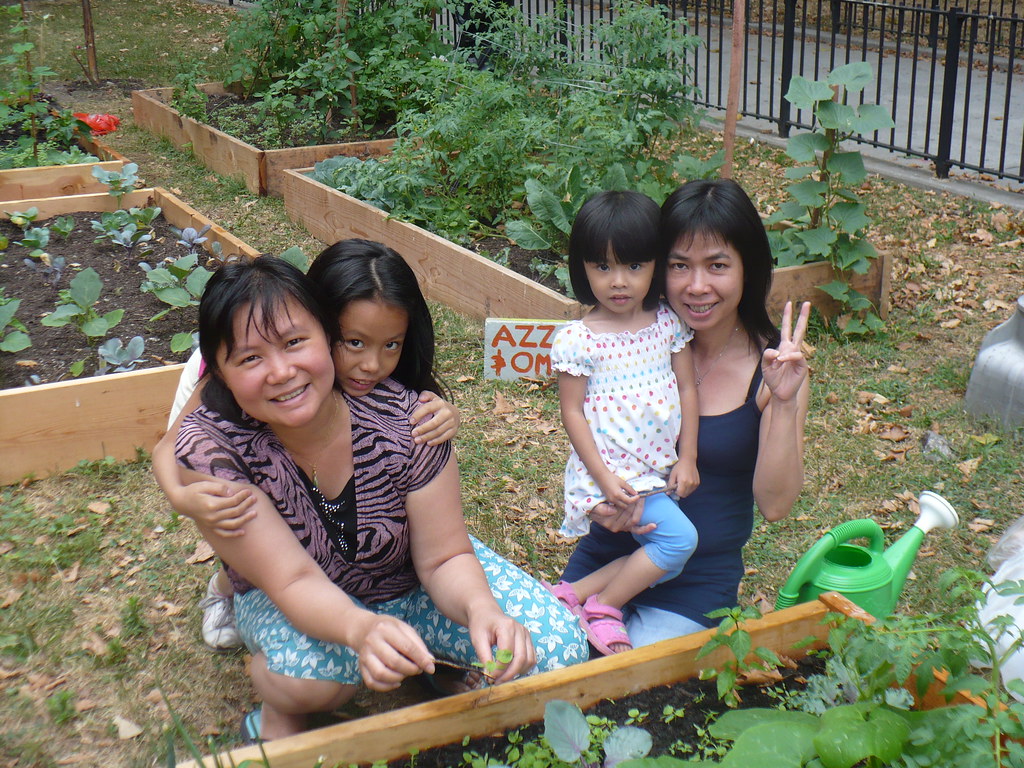 Pest Control That Won't Poison Your Vegetable Patch