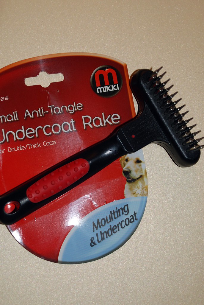 Preventing Matted Coats in Low-Shed and Hypoallergenic Dogs