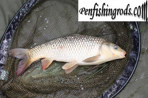 Saltwater Fishing Tips: Boats, Tides, and Reading Spots